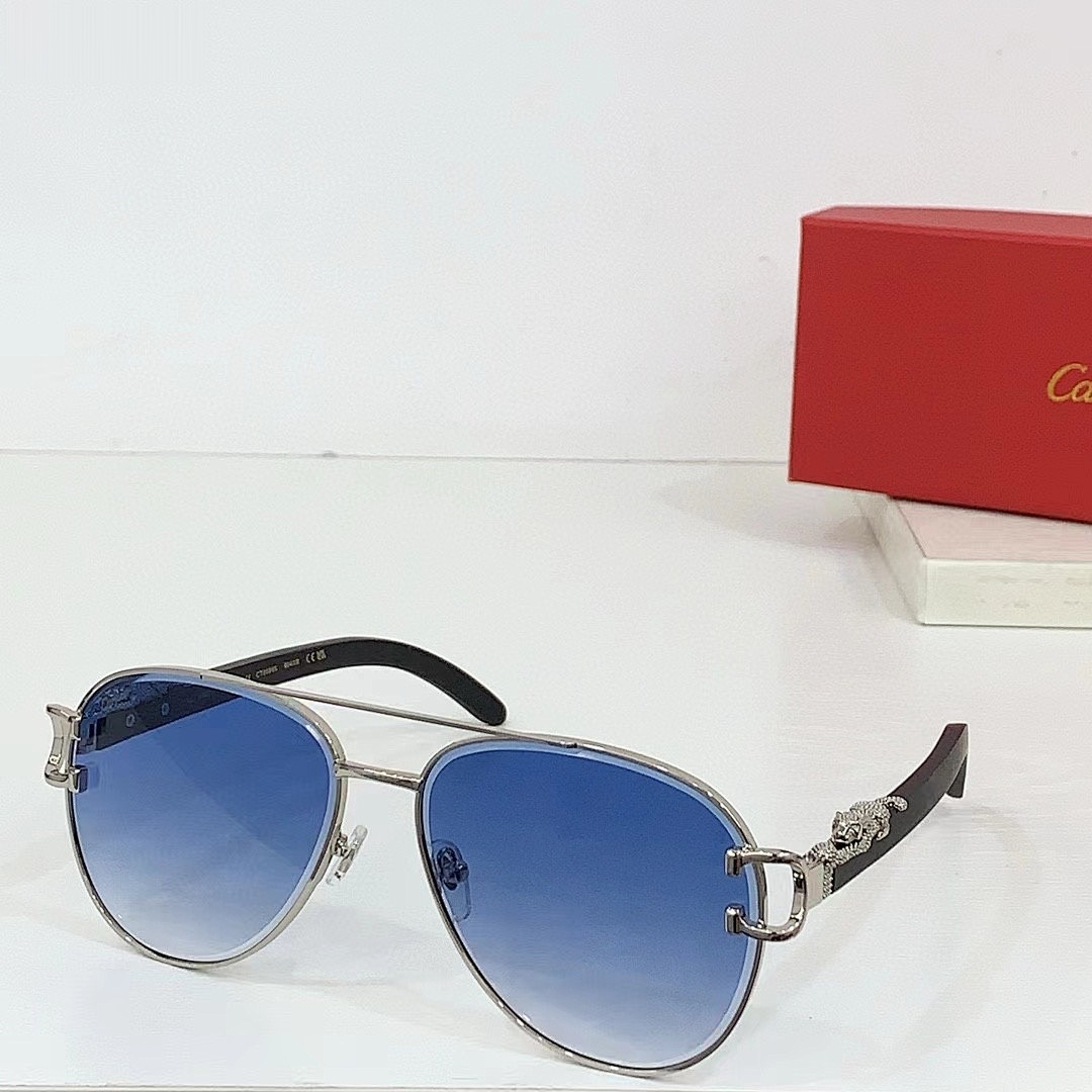 CARTIER - CT0559 - 55-20-143 - Image 6