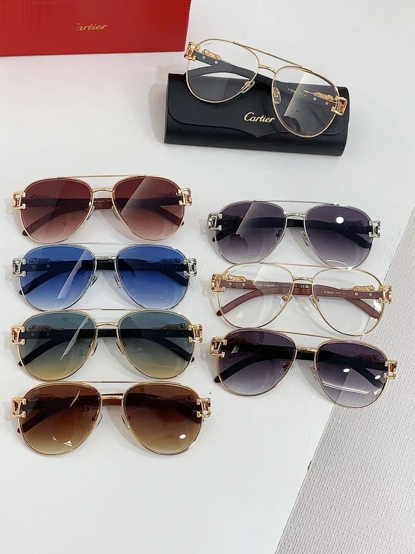 CARTIER - CT0559 - 55-20-143 - Image 9