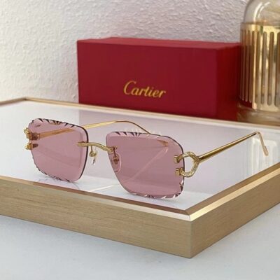 CARTIER - CT0576 - 61-18-140