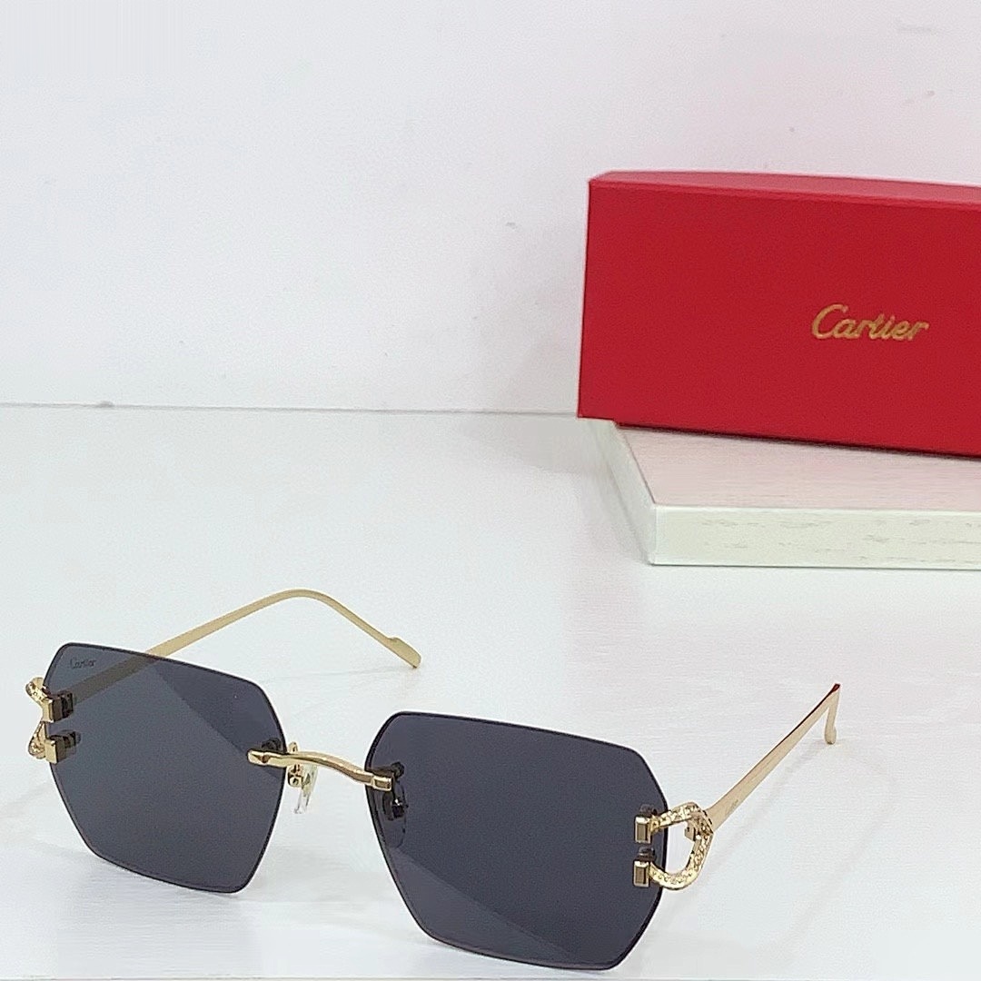 CARTIER - CT0577 - 57-18-140 - Image 6
