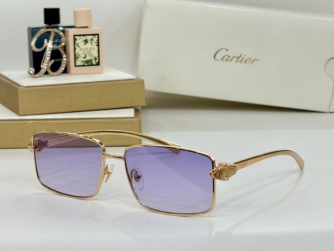 CARTIER - CT0644 - 60-16-133