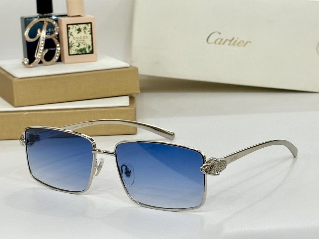 CARTIER - CT0644 - 60-16-133 - Image 4