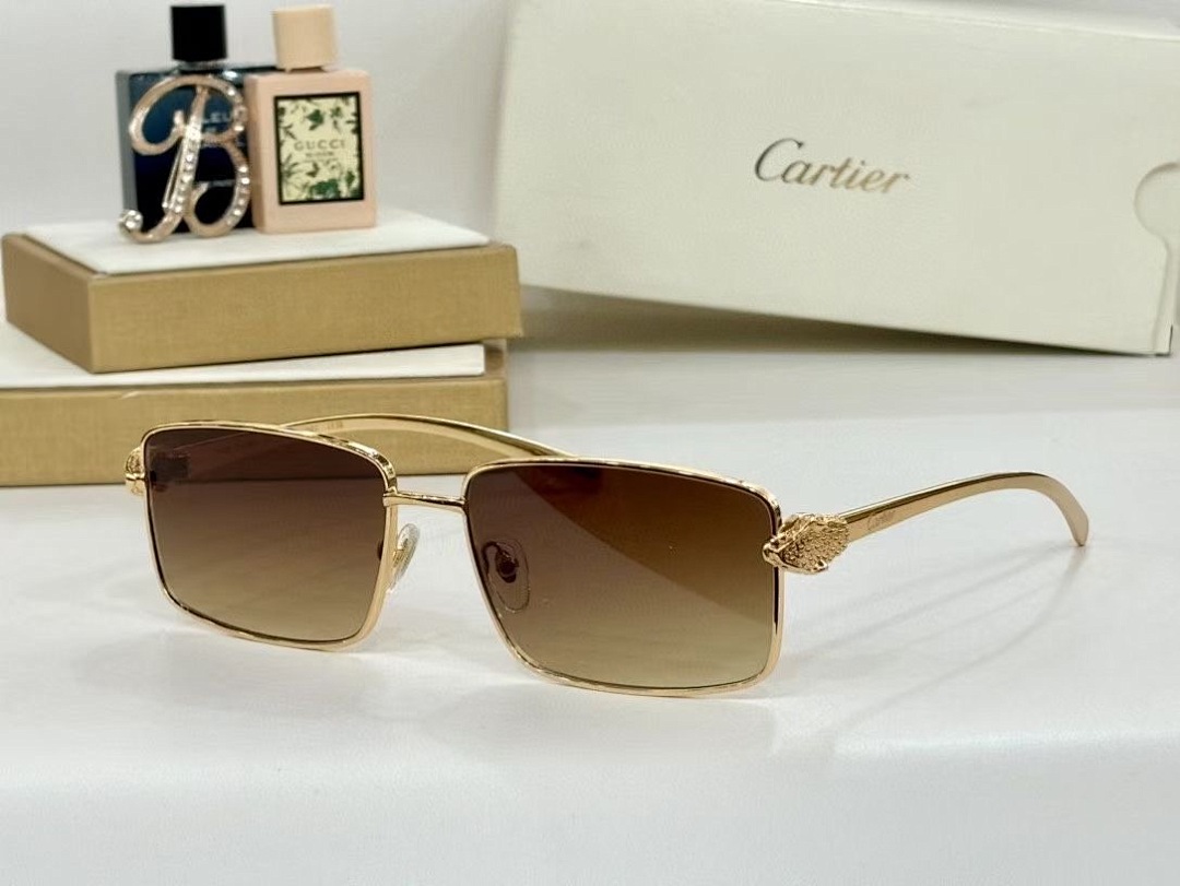 CARTIER - CT0644 - 60-16-133 - Image 6