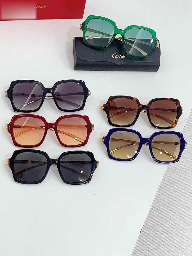 CARTIER - CT0646 - 53-19-130 - Image 9
