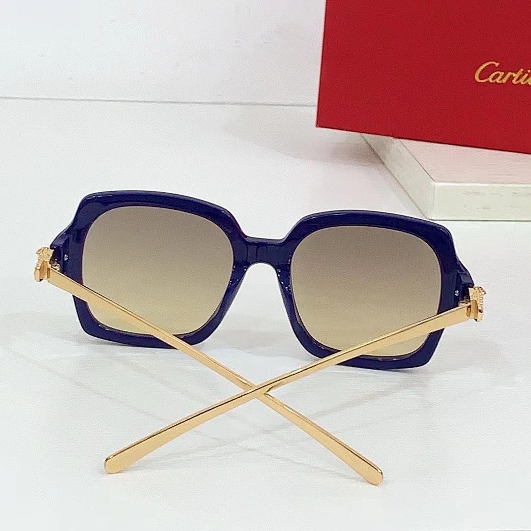 CARTIER - CT0646 - 53-19-130 - Image 7