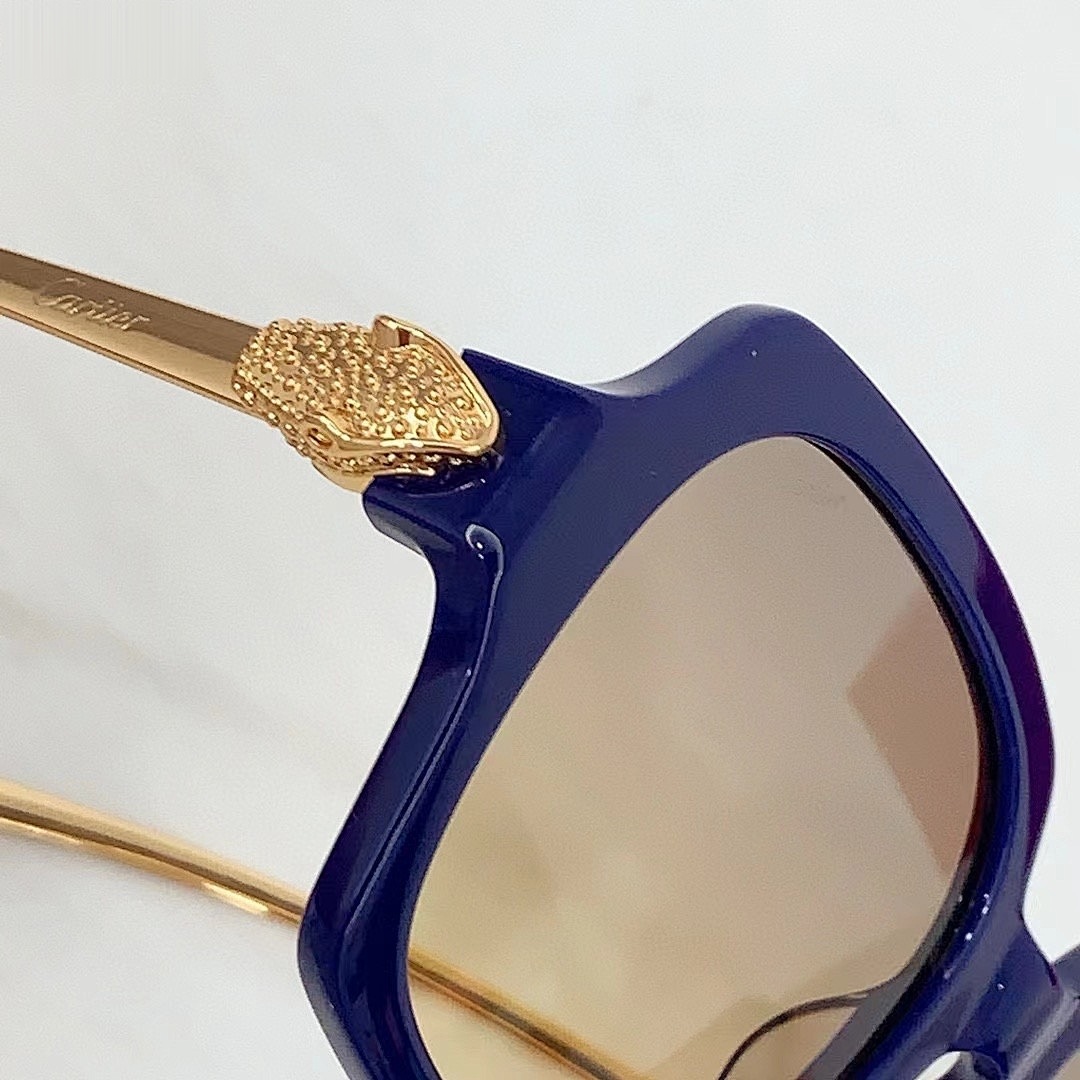 CARTIER - CT0646 - 53-19-130 - Image 8