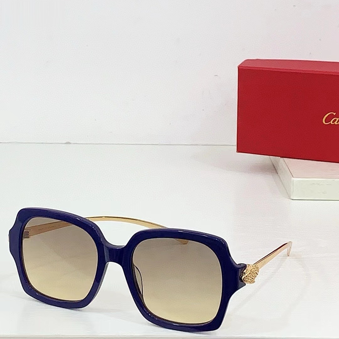 CARTIER - CT0646 - 53-19-130 - Image 2