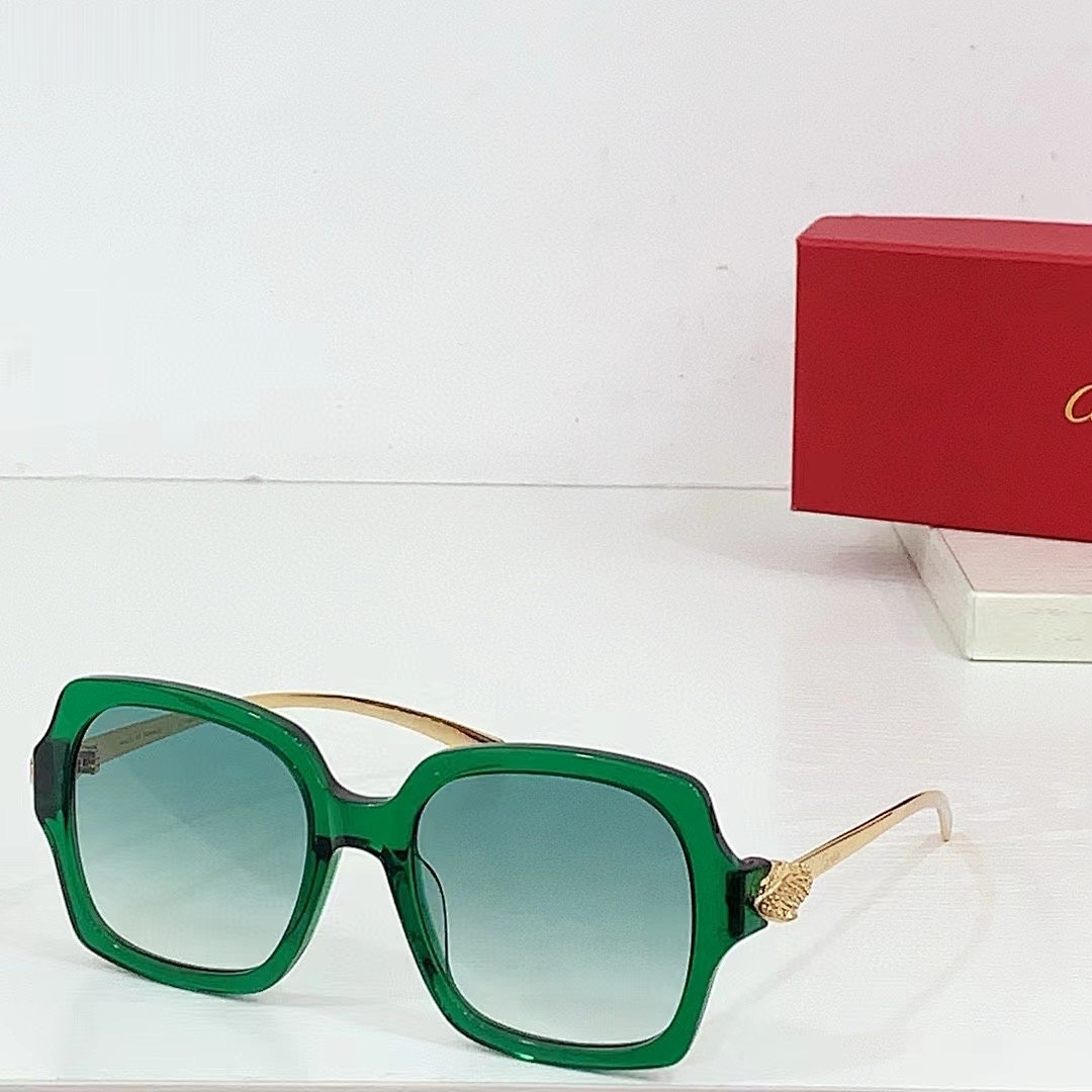 CARTIER - CT0646 - 53-19-130 - Image 4