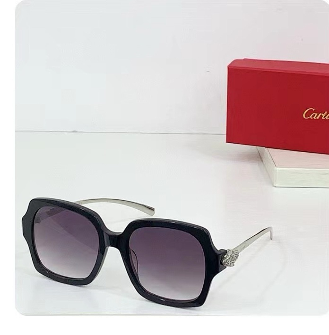 CARTIER - CT0646 - 53-19-130 - Image 6
