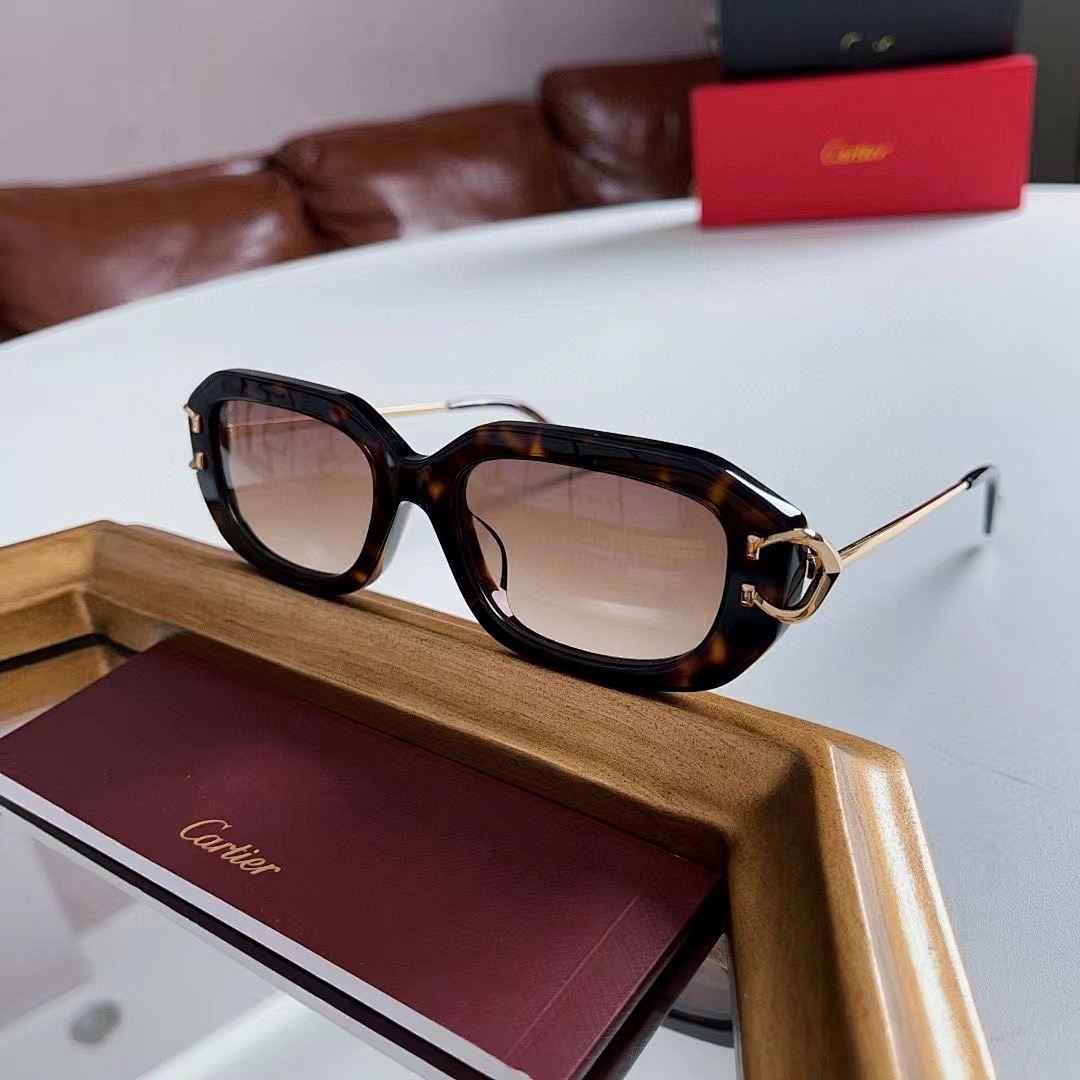 CARTIER - CT0829 - 54-19-145 - Image 6