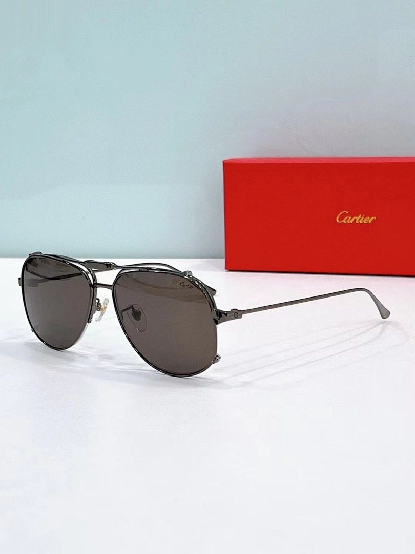 CARTIER - SANTOS - 56-15-145