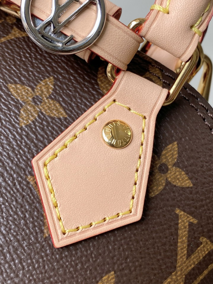 Louis Vuitton Dark Brown Alma Mini Handbag M14339 - Image 8